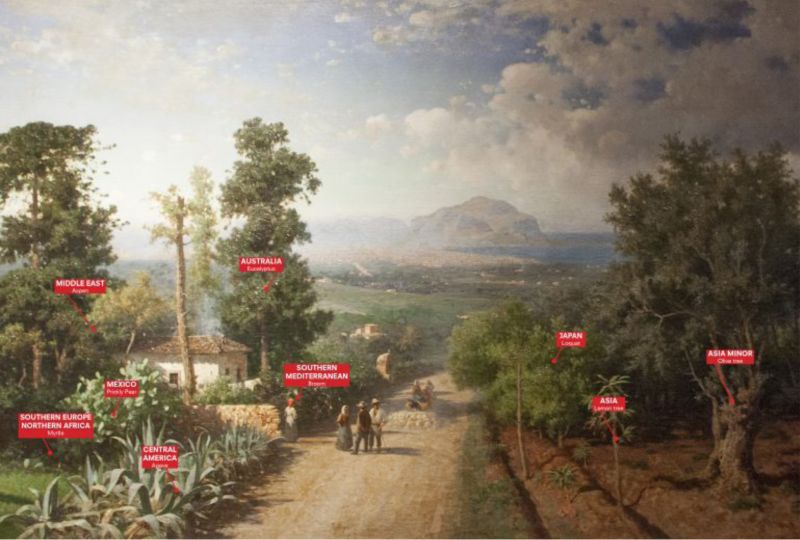 洋書Planetary GardensThe Landscape Archite 洋書Planetary GardensThe Landscape Archite The Planetary Garden